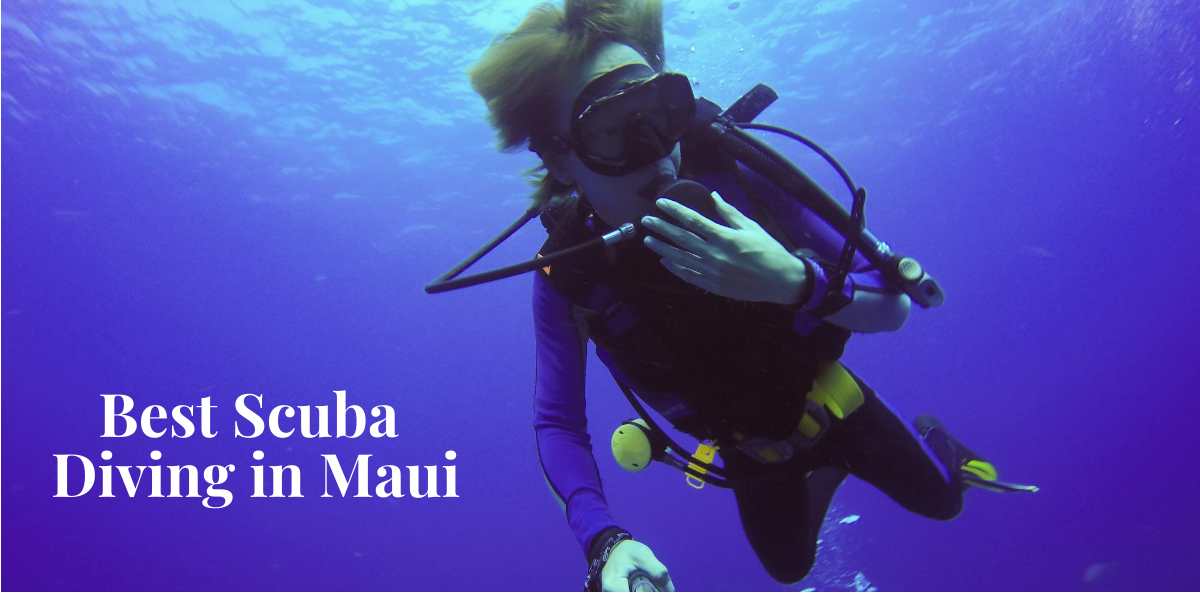 Top Places Offering the Best Scuba Diving in Maui